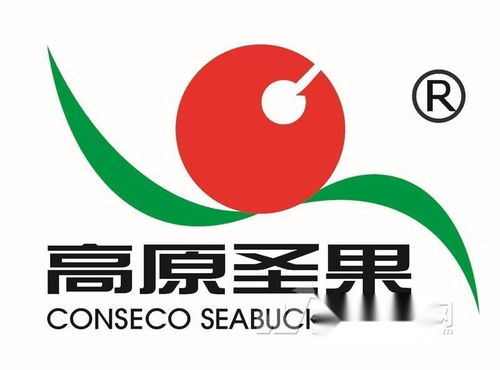 高原圣果沙棘制品 同順廣告?zhèn)髅?，讓健康與品牌同頻共振